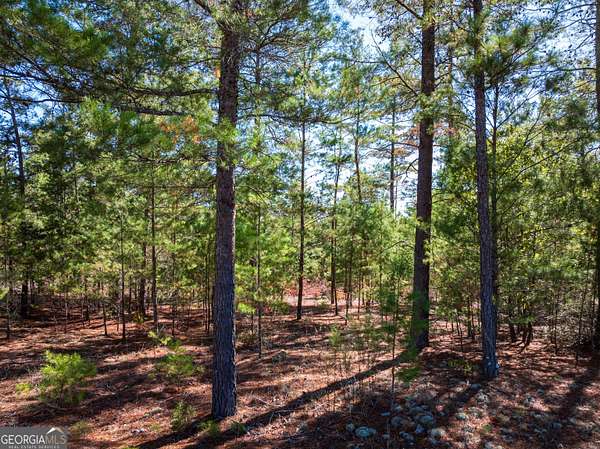 29 Acres of Recreational & Residential Land for Sale in Roberta, Georgia