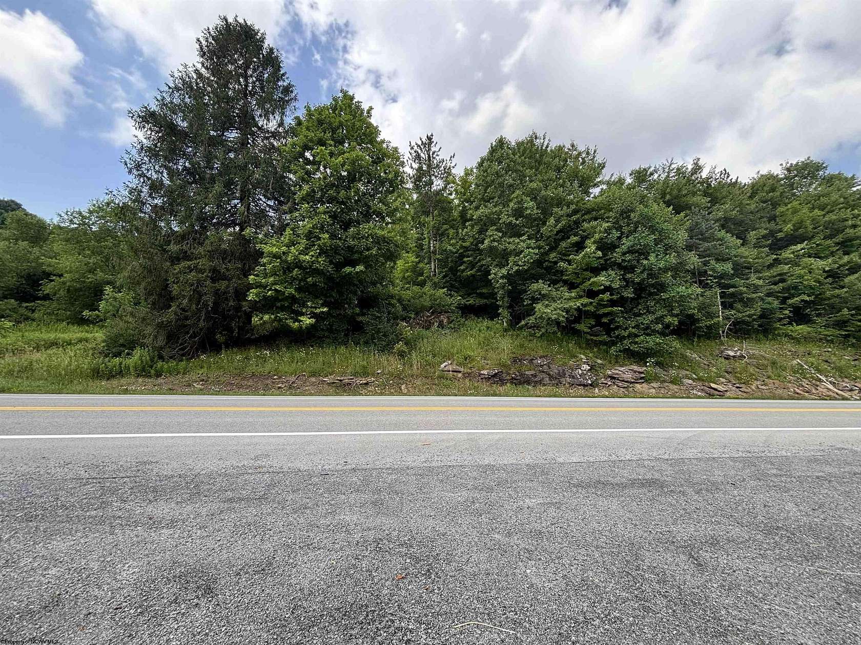 10 Acres of Recreational & Residential Land for Sale in Belington, West Virginia