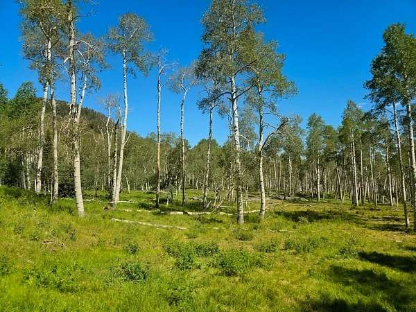 40 Acres of Land for Sale in Brian Head, Utah