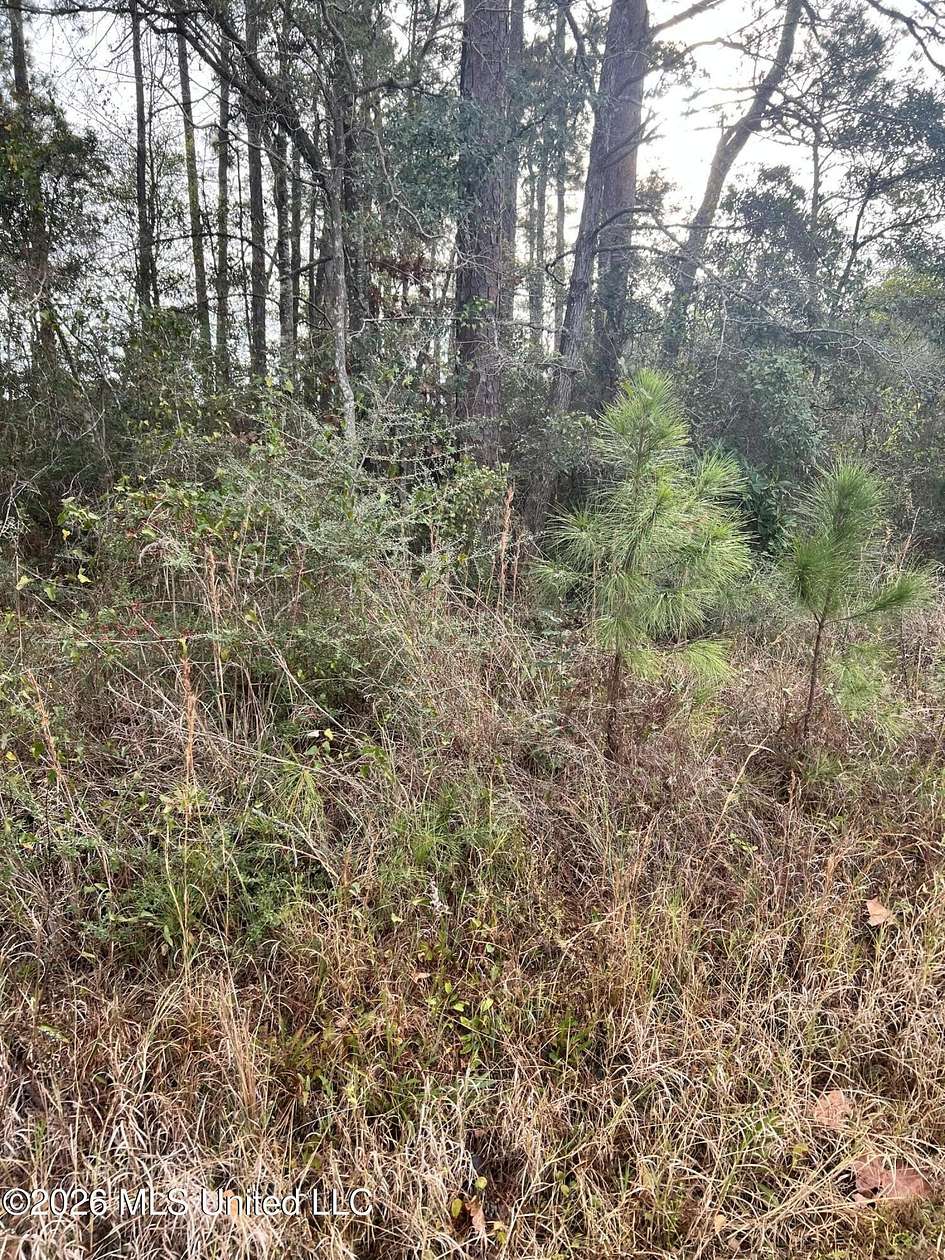 0.21 Acres of Residential Land for Sale in Pass Christian, Mississippi