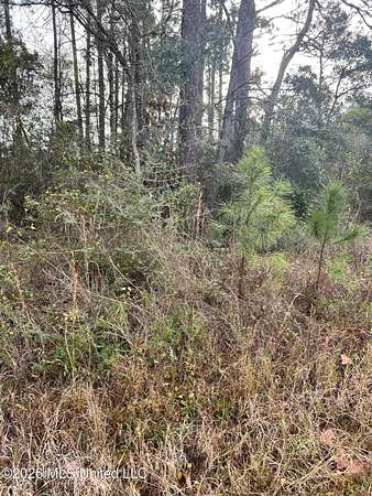0.21 Acres of Residential Land for Sale in Pass Christian, Mississippi