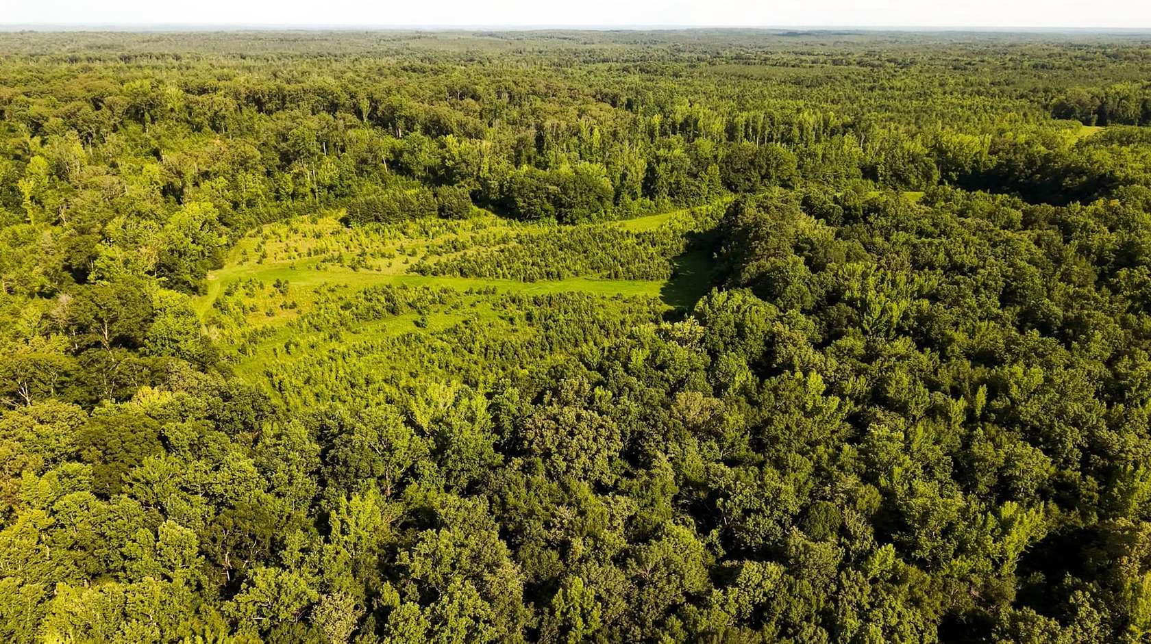 400 Acres of Recreational Land for Sale in Nettleton, Mississippi