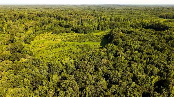 400 Acres of Recreational Land for Sale in Nettleton, Mississippi