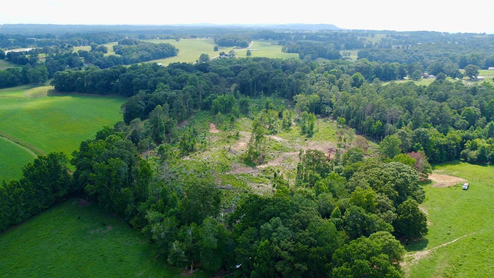 10 Acres of Land for Sale in Ranburne, Alabama