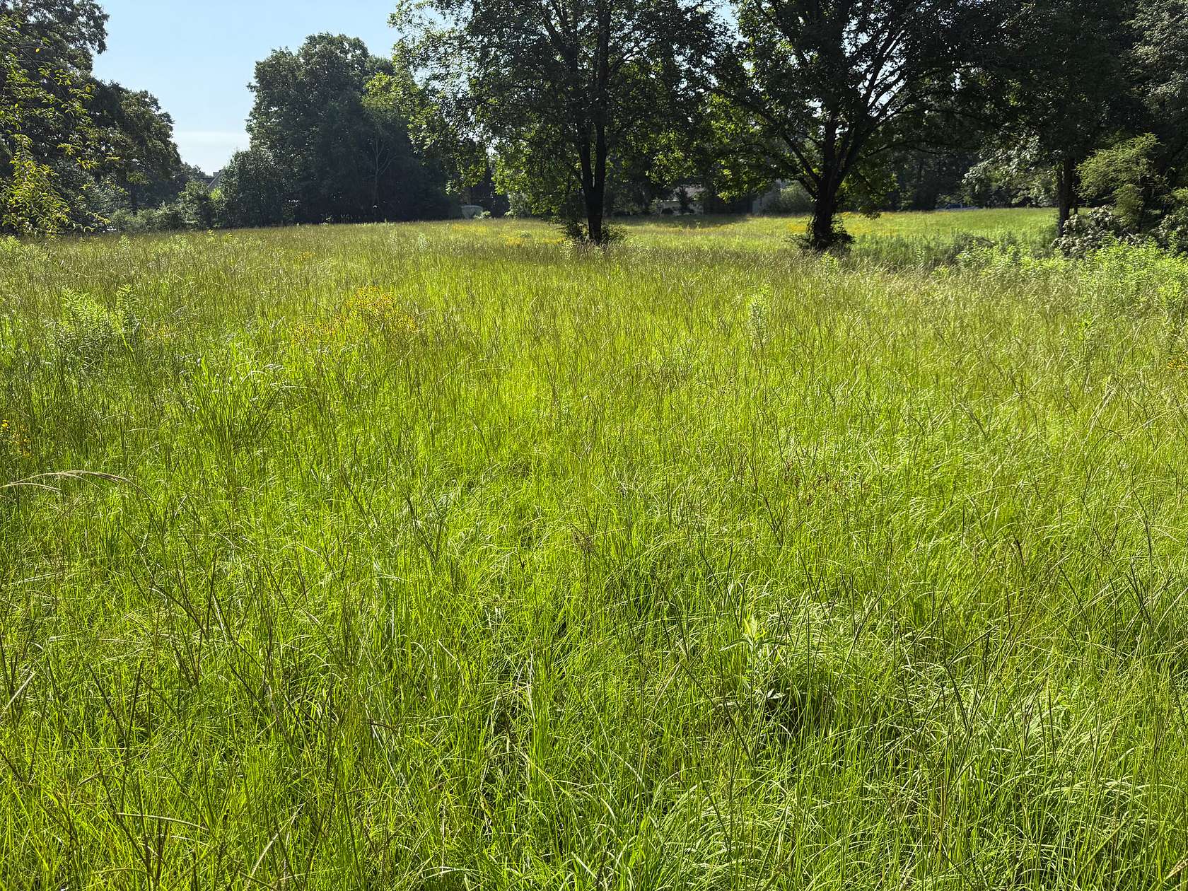 37.7 Acres of Land for Sale in Pleasant Grove, Alabama