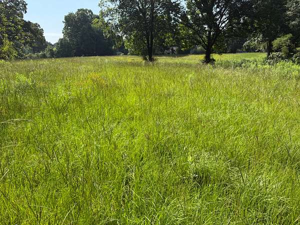 37.7 Acres of Land for Sale in Pleasant Grove, Alabama