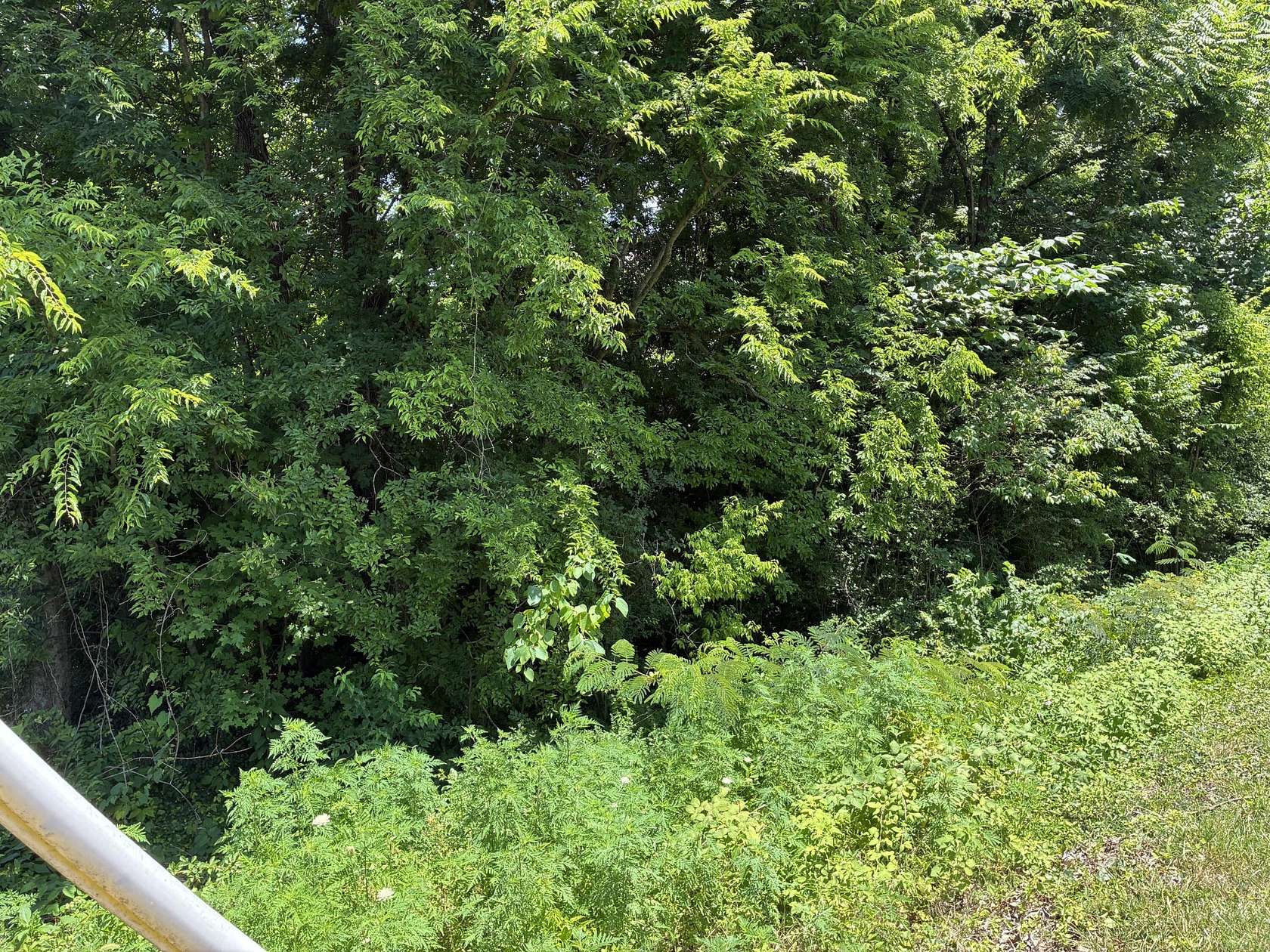 1.8 Acres of Land for Sale in Sweetwater, Tennessee