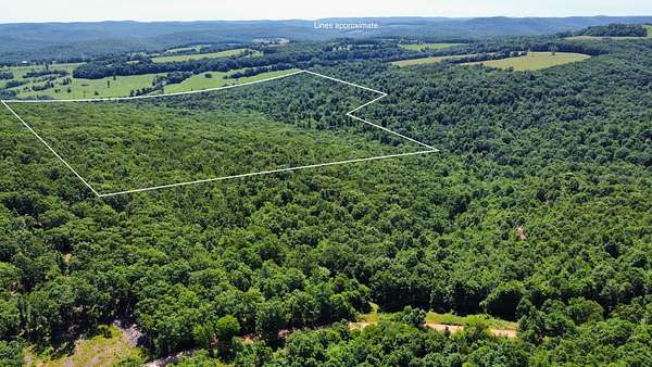 100 Acres of Recreational Land for Sale in Witter, Arkansas