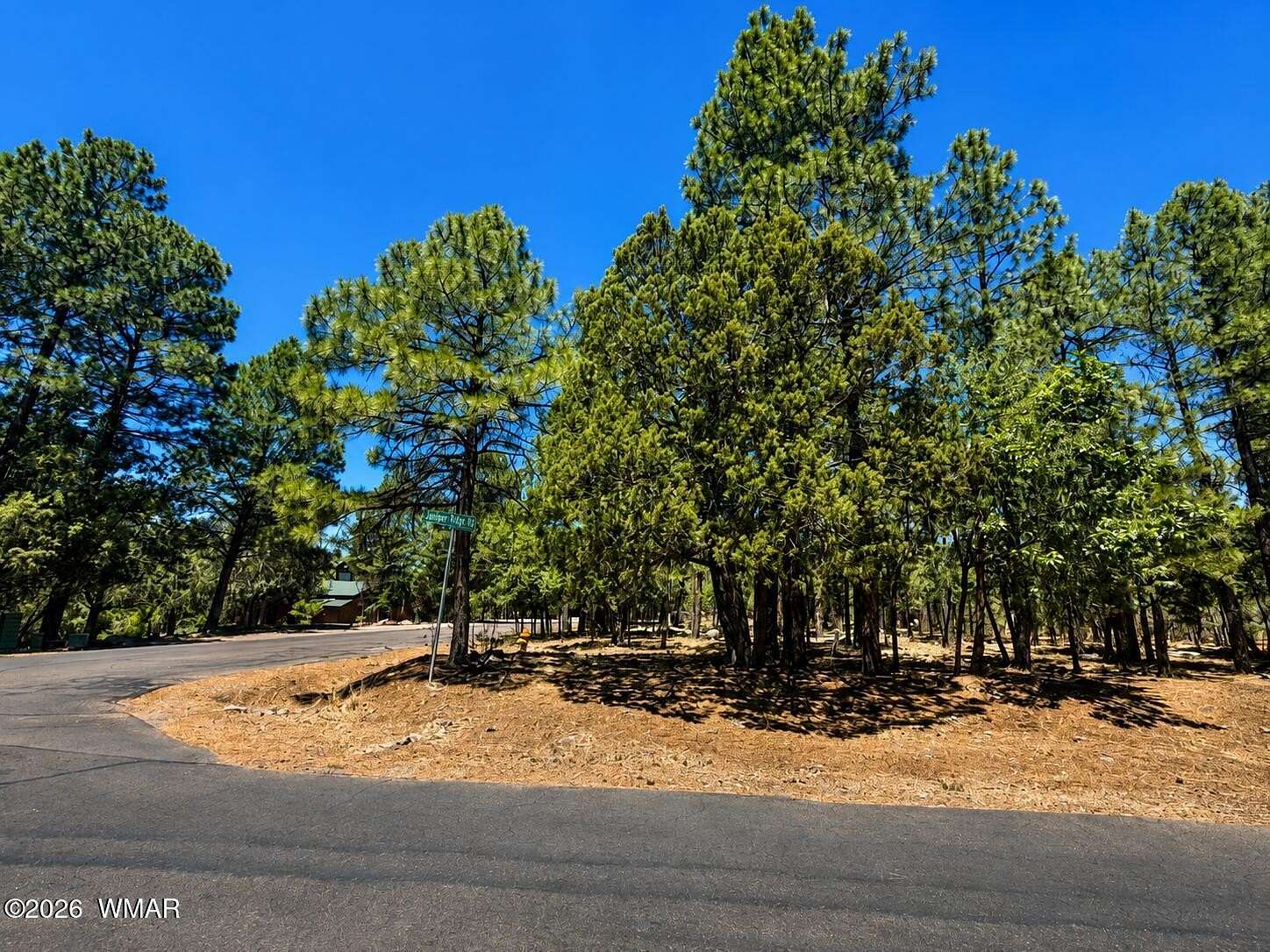 0.35 Acres of Residential Land for Sale in Lakeside, Arizona