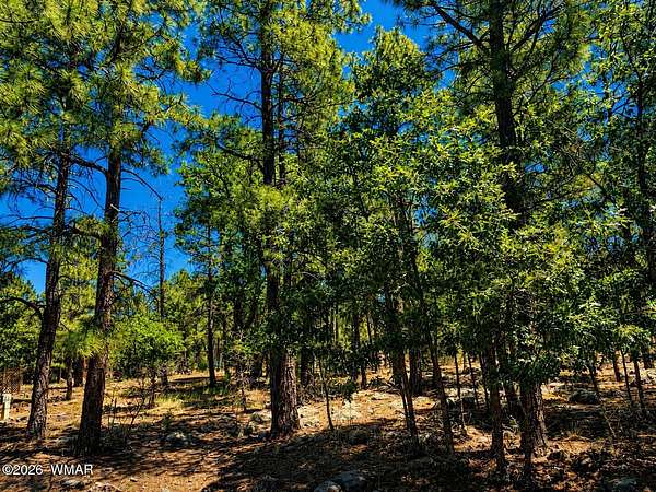 0.31 Acres of Residential Land for Sale in Lakeside, Arizona