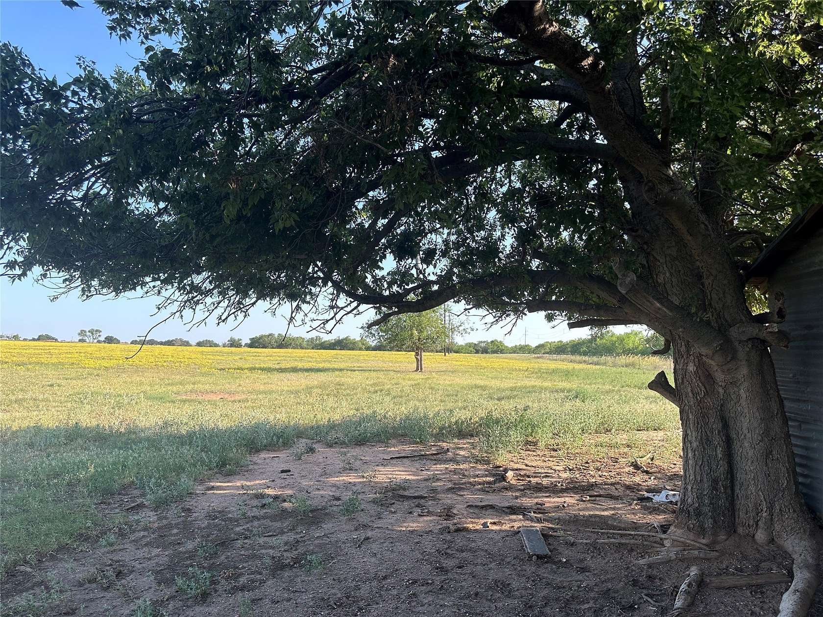 14 Acres of Land for Sale in Knox City, Texas