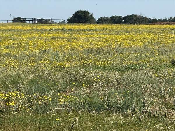 14 Acres of Land for Sale in Knox City, Texas