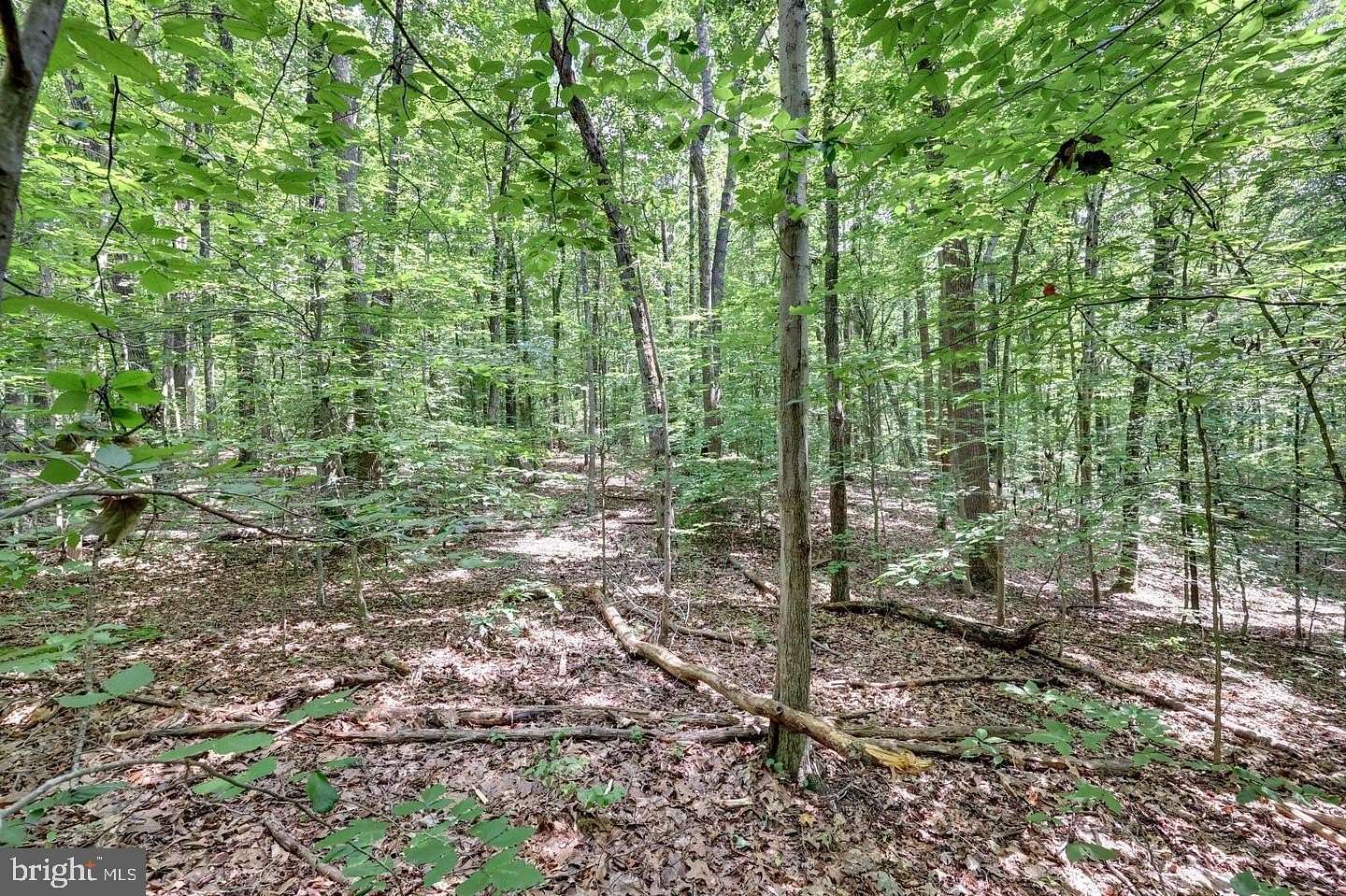 5 Acres of Residential Land for Sale in Fairfax Station, Virginia