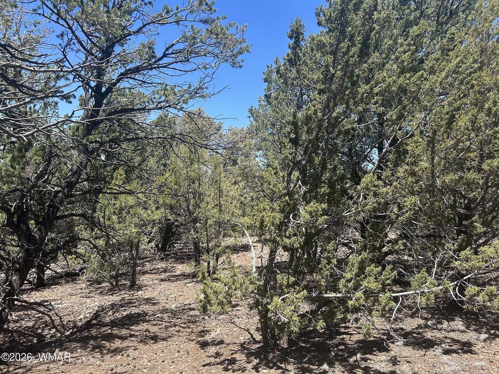 4.5 Acres of Residential Land for Sale in Vernon, Arizona