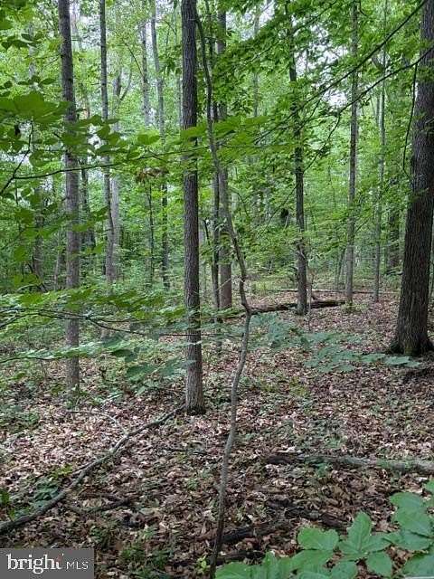 2.5 Acres of Residential Land for Sale in Orange, Virginia