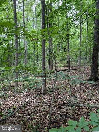 2.5 Acres of Residential Land for Sale in Orange, Virginia