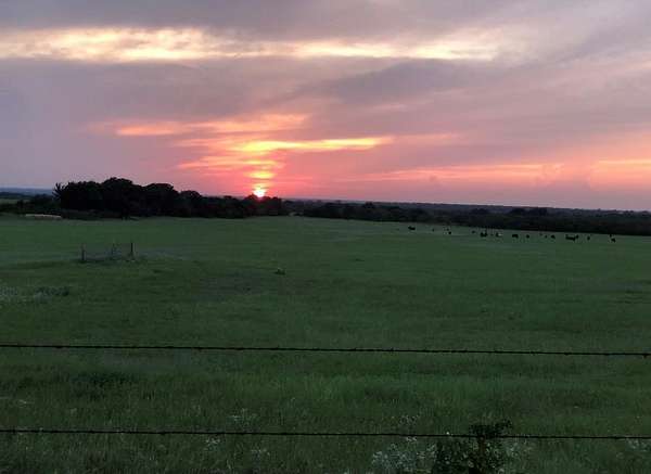155 Acres of Land with Home for Sale in Desdemona, Texas