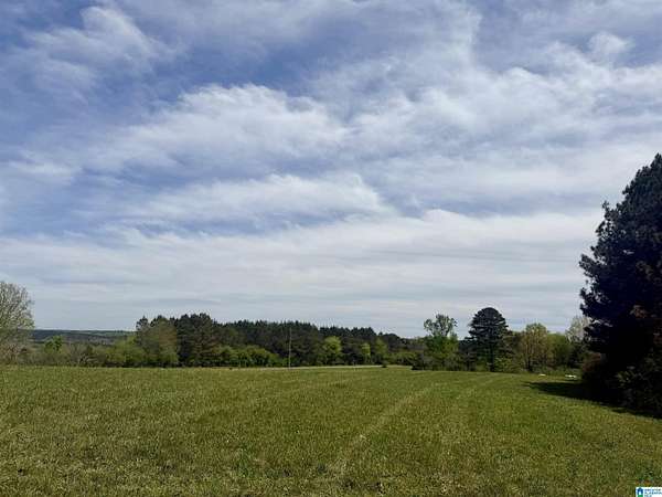 13.5 Acres of Land for Sale in Vinemont, Alabama