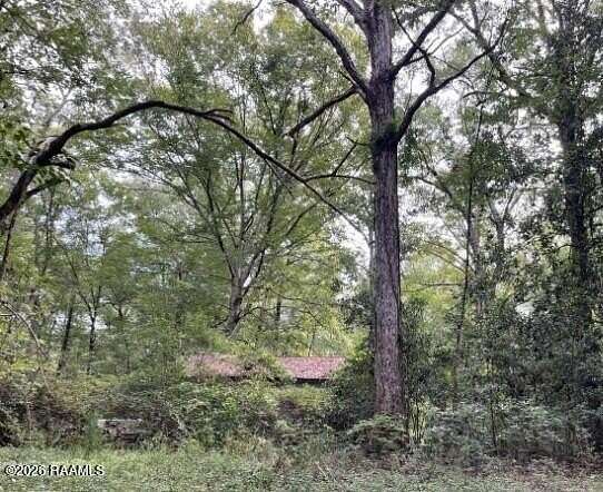 4 Acres of Residential Land for Sale in Oakdale, Louisiana