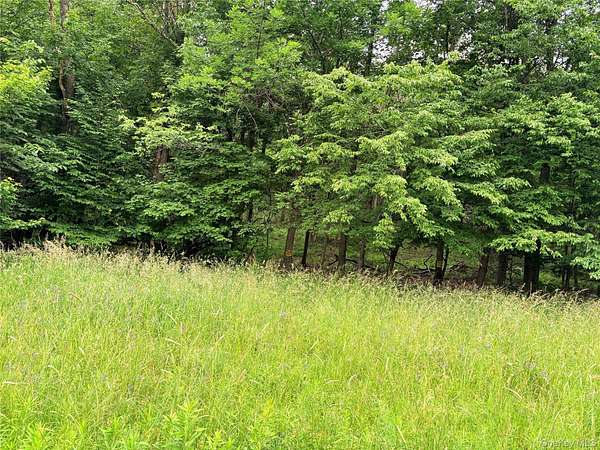 6.54 Acres of Residential Land for Sale in Fremont Center, New York