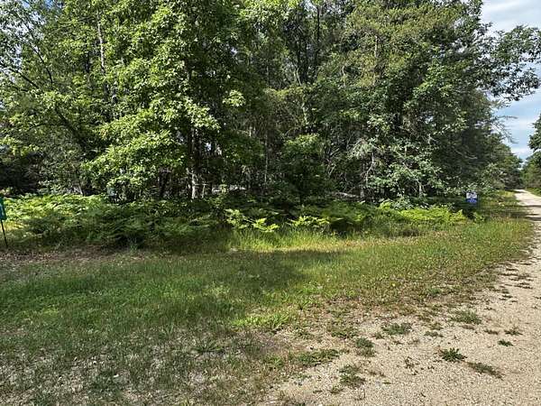 0.77 Acres of Residential Land for Sale in Luther, Michigan