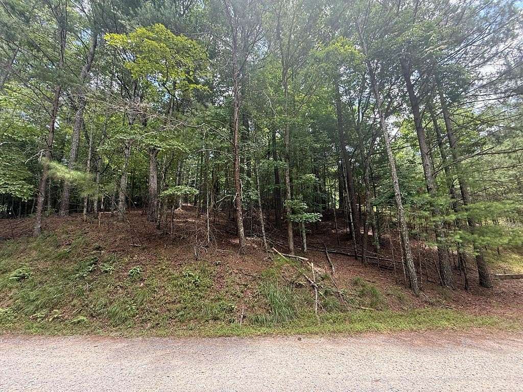 0.53 Acres of Residential Land for Sale in Ellijay, Georgia