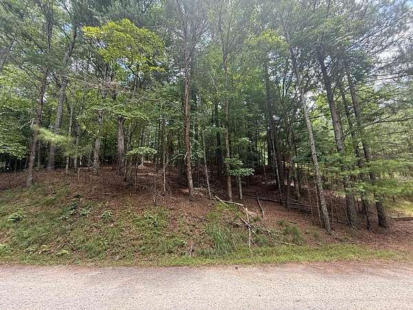 0.53 Acres of Residential Land for Sale in Ellijay, Georgia