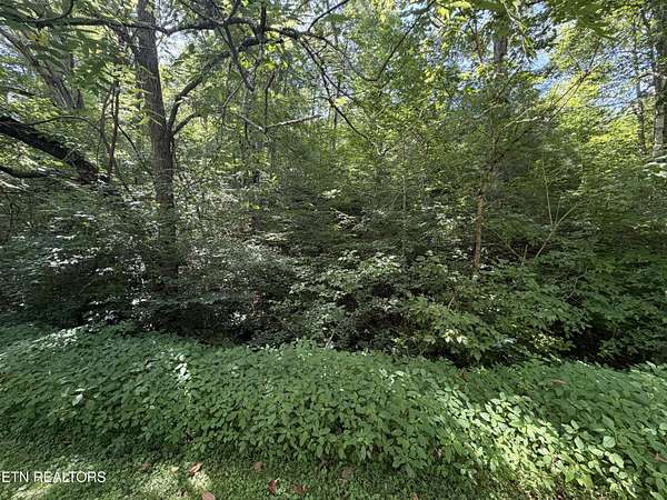 0.18 Acres of Residential Land for Sale in Sevierville, Tennessee