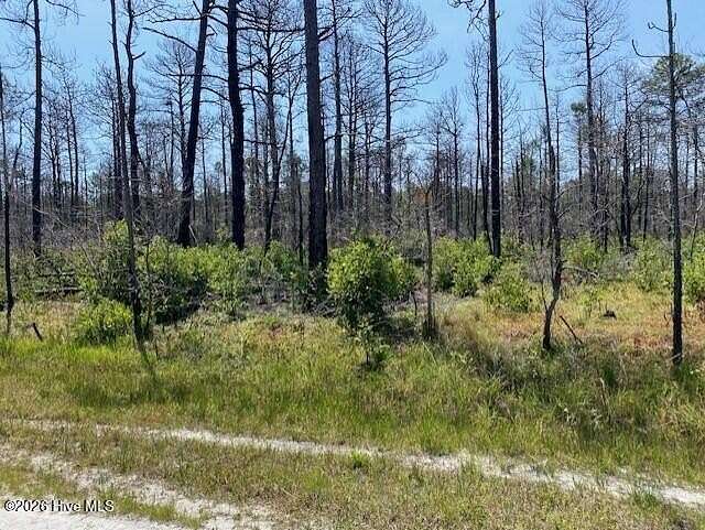 0.24 Acres of Land for Sale in Boiling Spring Lakes, North Carolina