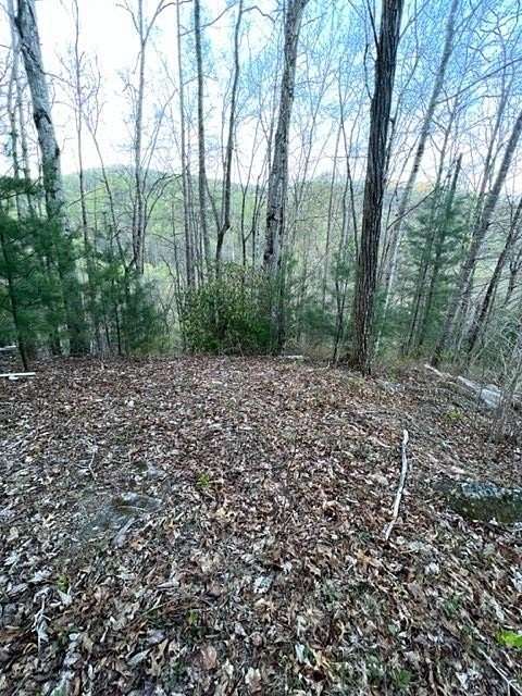 7.35 Acres of Residential Land for Sale in Franklin, North Carolina