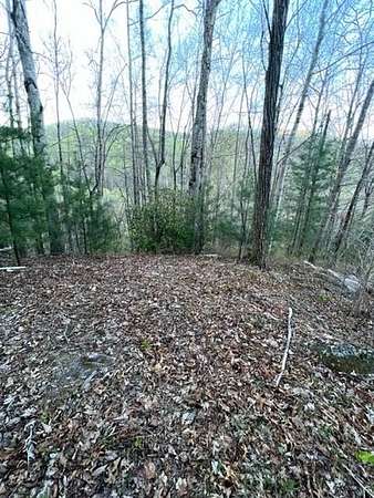 7.35 Acres of Residential Land for Sale in Franklin, North Carolina
