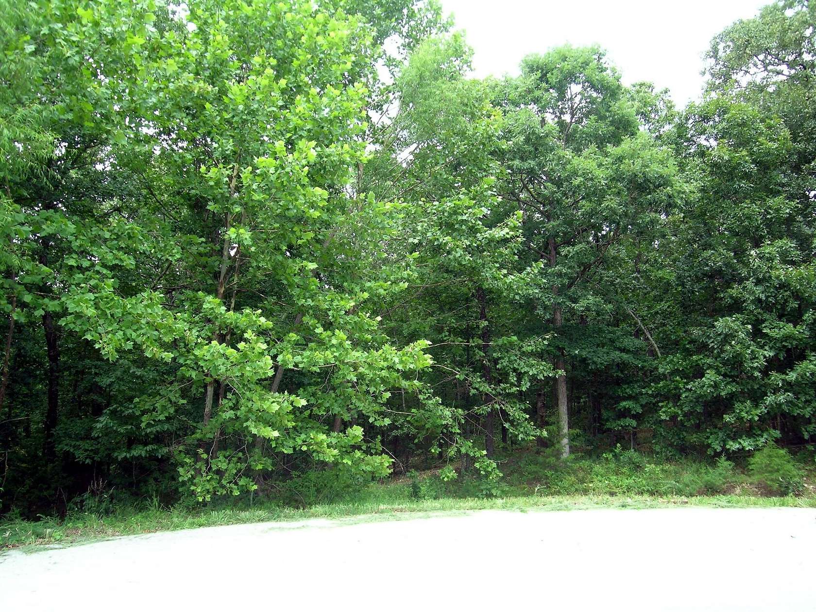 3 Acres of Residential Land for Sale in Marshfield, Missouri