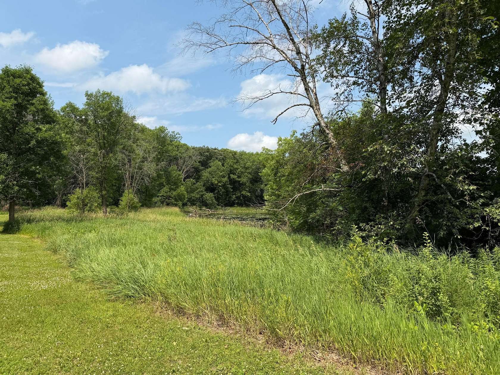 1.4 Acres of Residential Land for Sale in Annandale, Minnesota