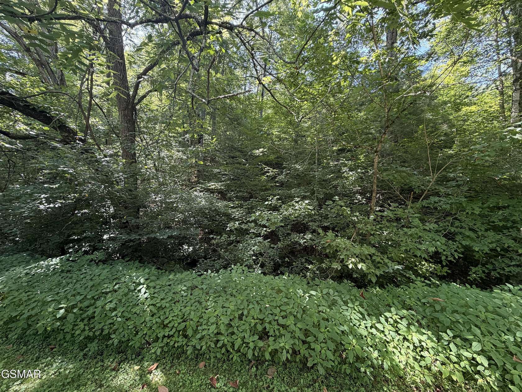 0.22 Acres of Residential Land for Sale in Sevierville, Tennessee