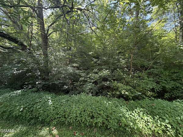 0.22 Acres of Residential Land for Sale in Sevierville, Tennessee