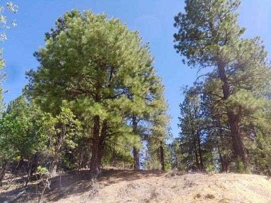 0.7 Acres of Residential Land for Sale in Alton, Utah