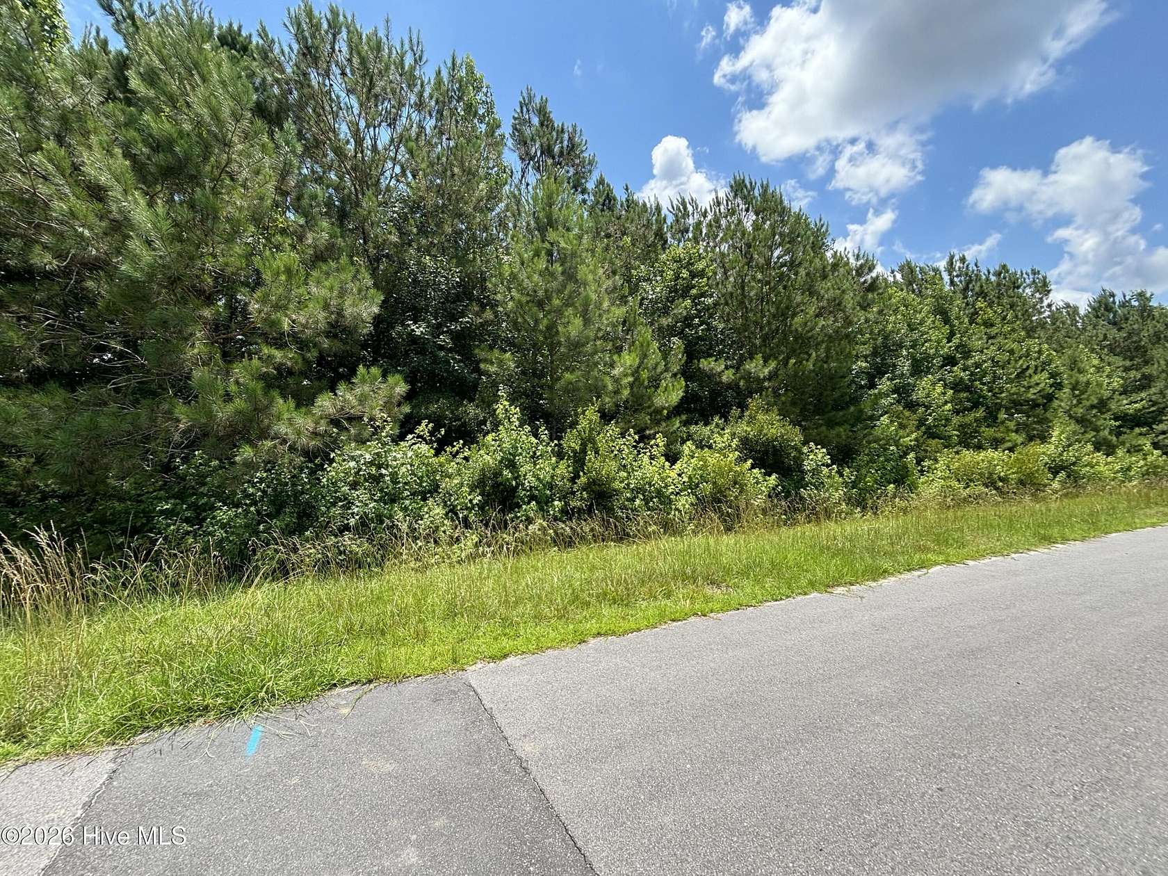 3 Acres of Commercial Land for Sale in Burgaw, North Carolina