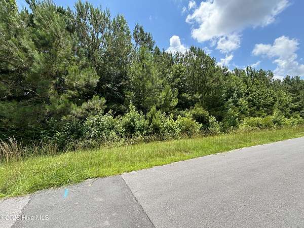 3 Acres of Commercial Land for Sale in Burgaw, North Carolina