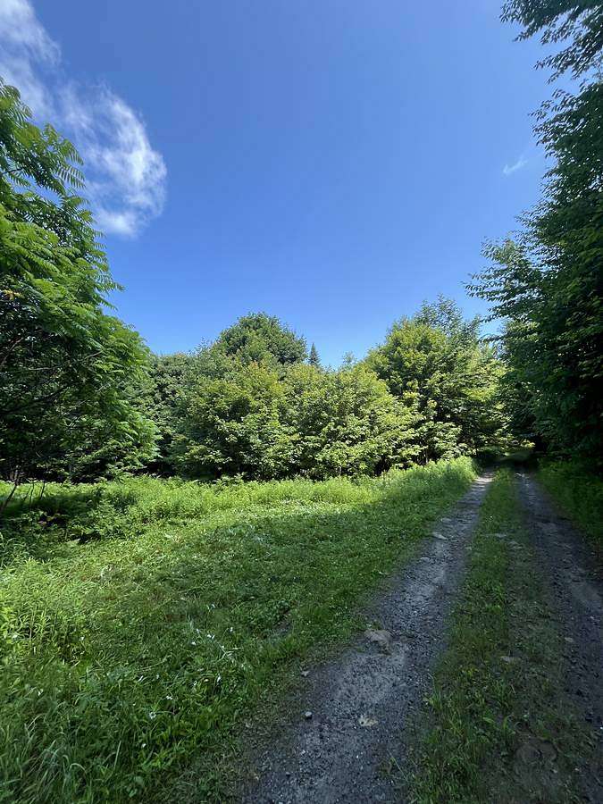 99.5 Acres of Recreational Land for Sale in Marshfield, Vermont