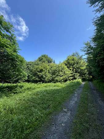 99.5 Acres of Recreational Land for Sale in Marshfield, Vermont