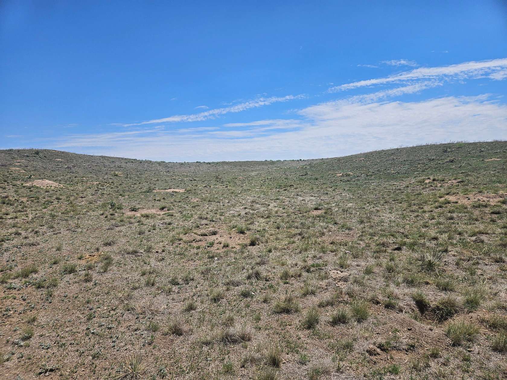 700 Acres of Land for Sale in Sedgwick, Colorado