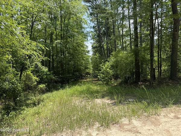 36.5 Acres of Recreational & Residential Land for Sale in Appling, Georgia