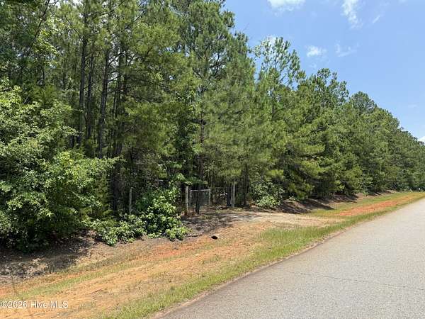 25 Acres of Land for Sale in Appling, Georgia