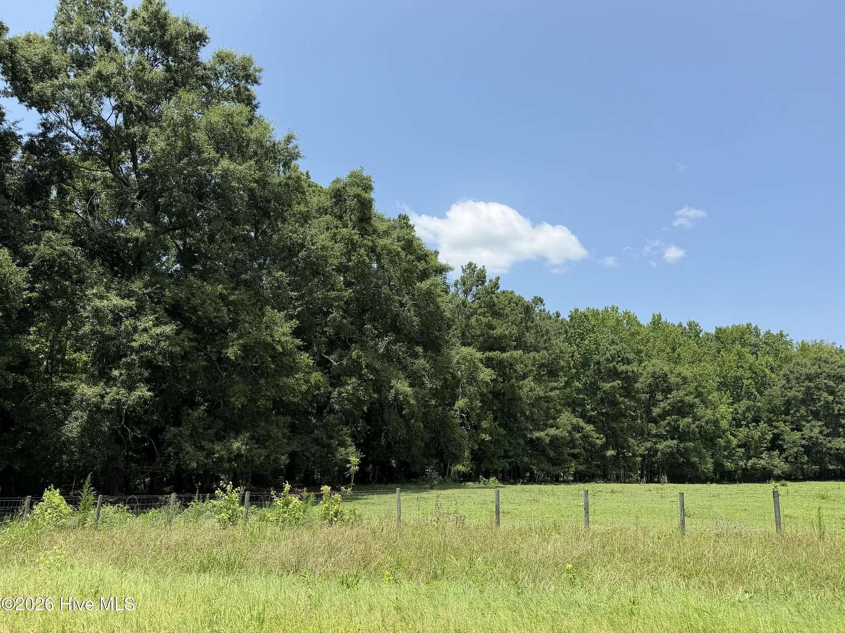 138 Acres of Land for Sale in Appling, Georgia