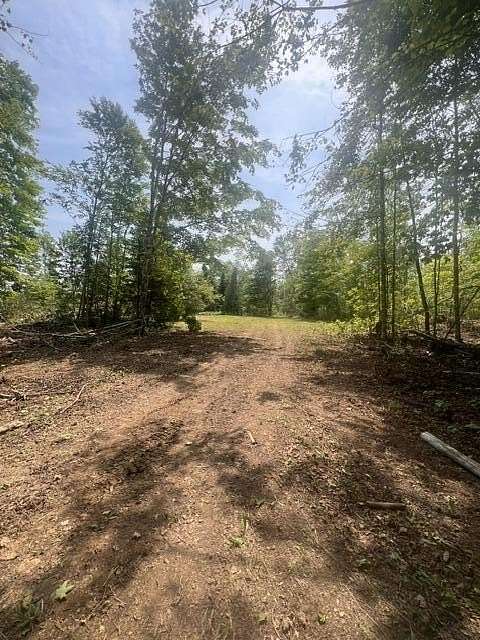 20 Acres of Land for Sale in Amity Town, Maine