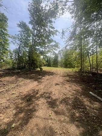 20 Acres of Land for Sale in Amity Town, Maine