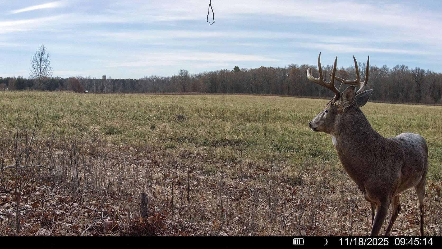 38 Acres of Land for Sale in Emerald, Wisconsin