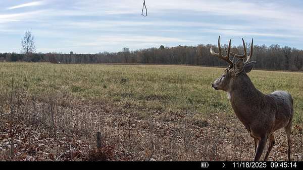 38 Acres of Land for Sale in Emerald, Wisconsin