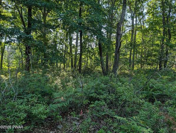 0.21 Acres of Residential Land for Sale in Shohola, Pennsylvania