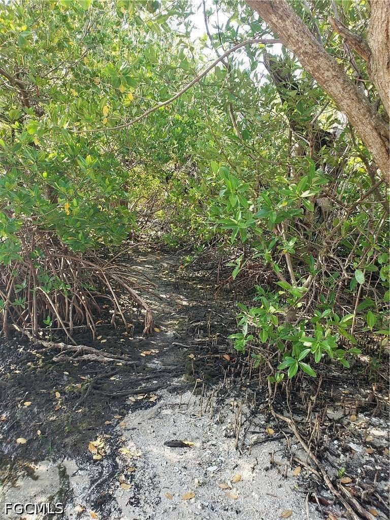 10.4 Acres of Land for Sale in St. James City, Florida